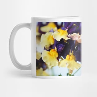 Nemesia  Aroma Plums &amp; Custard  Aroma Series Mug